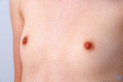 pornstar ariel tylor petite good looks 5 250x167