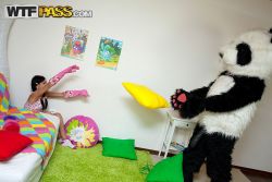 pornstar lerok lovable teen sucks black strapon hooked up to panda toy 1 250x167