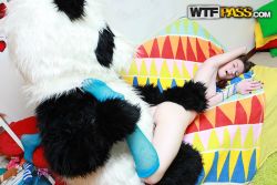 pornstar nicki scorching amusing fucking panda bar 12 250x167