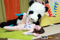 pornstar nicki scorching amusing fucking panda bar 6 250x167