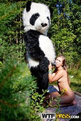 pornstar penny babe pleasing buttocks fucks panda sex toy 15 167x250